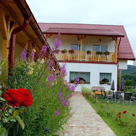 Pensiunea Poezii Alese Valea Drăganului Exterior foto