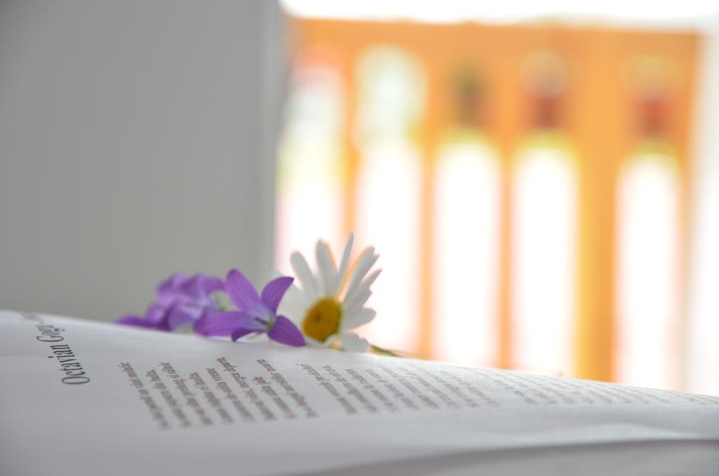 Pensiunea Poezii Alese Valea Drăganului Habitación foto