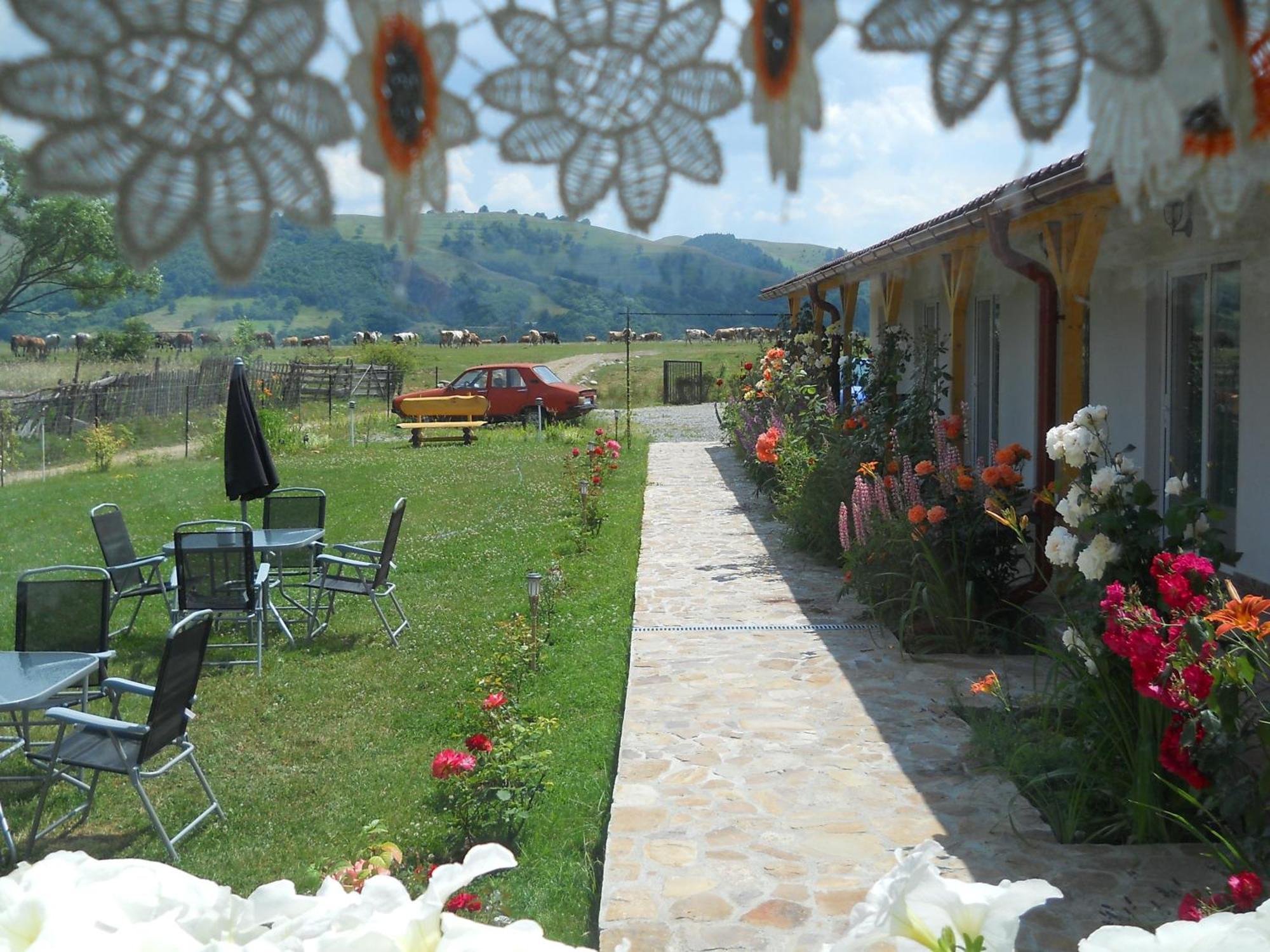 Pensiunea Poezii Alese Valea Drăganului Exterior foto