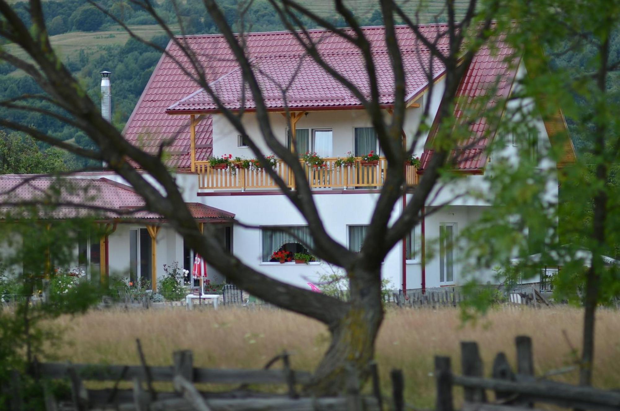 Pensiunea Poezii Alese Valea Drăganului Exterior foto